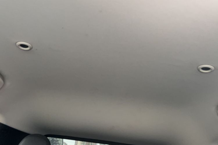 Used XPeng G3 2020 520 Smart Edition Headliner