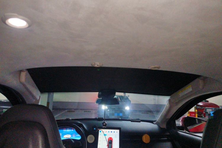 Used XPeng G3 2020 520 Luxury Edition Headliner