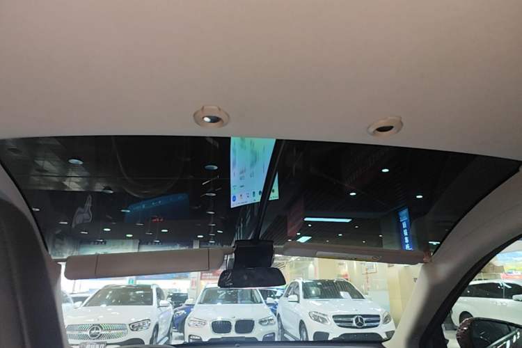 Used XPeng G3 2020 460 Smart Edition Headliner