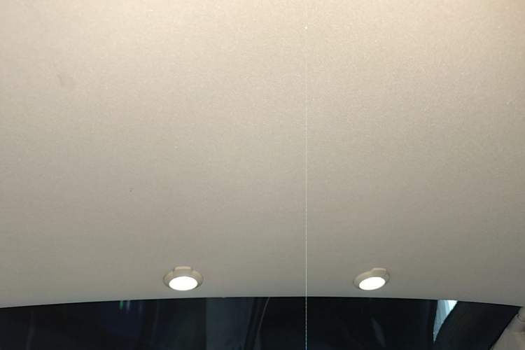Used XPeng G3 2020 520 Smart Edition Headliner