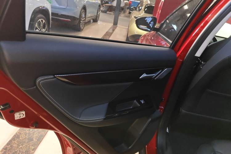 Used XPeng G3 2020 520i Luxury Edition Left Rear Door Interior