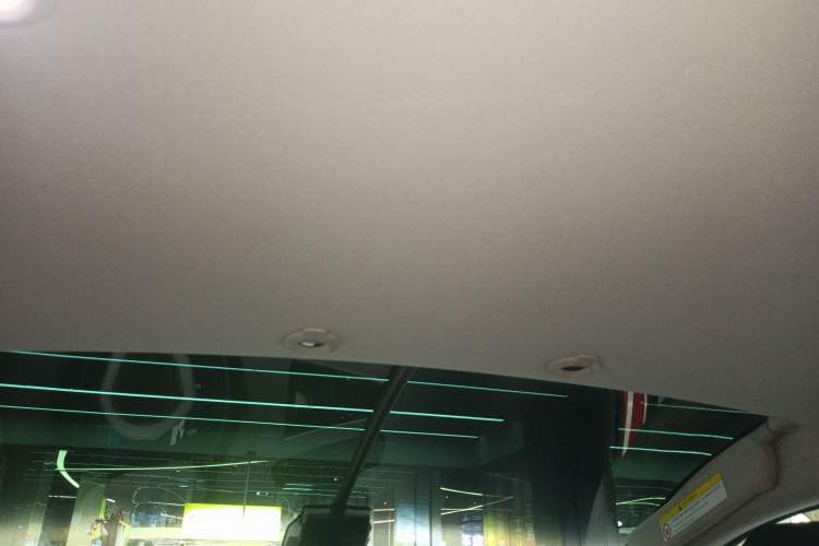 Used XPeng G3 2020 520 Smart Edition Headliner