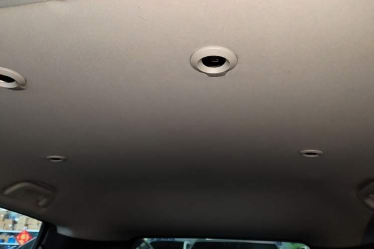 Used XPeng G3 2020 520 Smart Edition Headliner