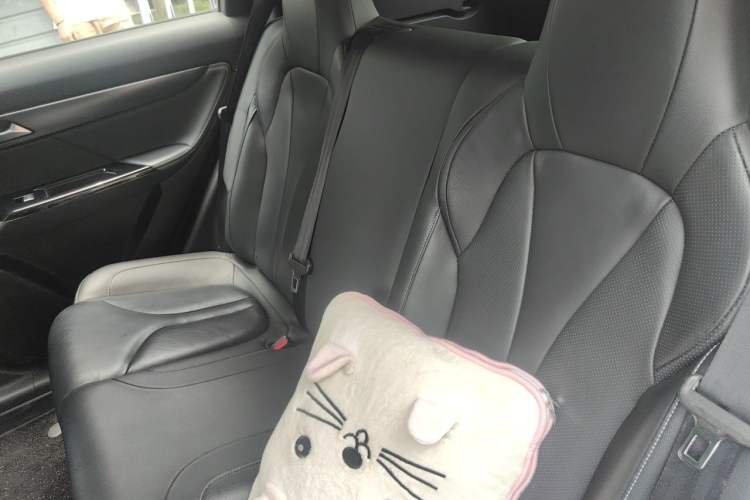 Used XPeng G3 2020 520 Smart Edition Left Rear Seat