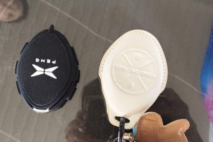 Used XPeng G3 2020 460i Luxury Edition Vehicle Key