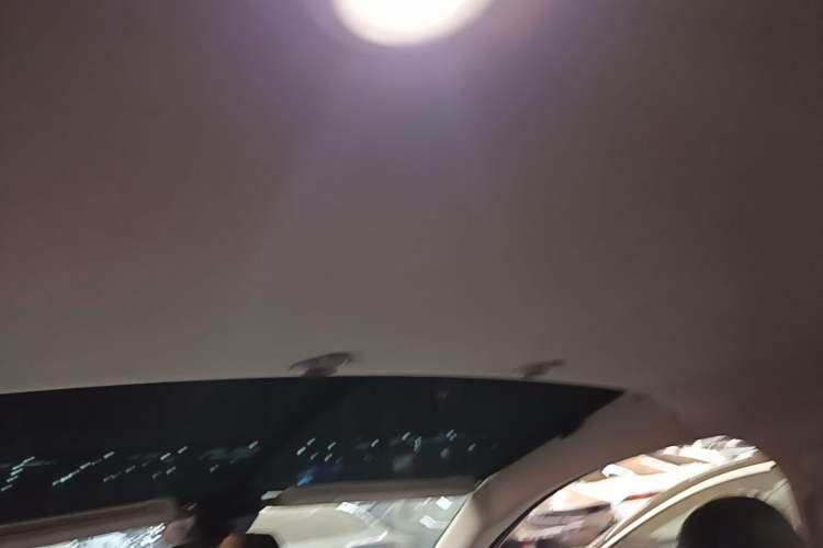 Used XPeng G3 2020 520i Luxury Edition Headliner