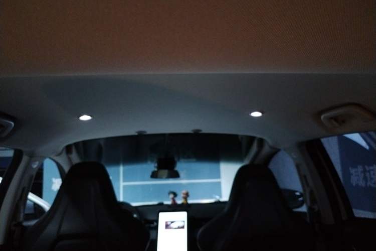 Used XPeng G3 2020 520 Smart Edition Headliner