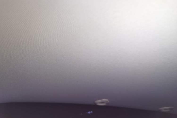 Used XPeng G3 2020 460 Smart Edition Headliner