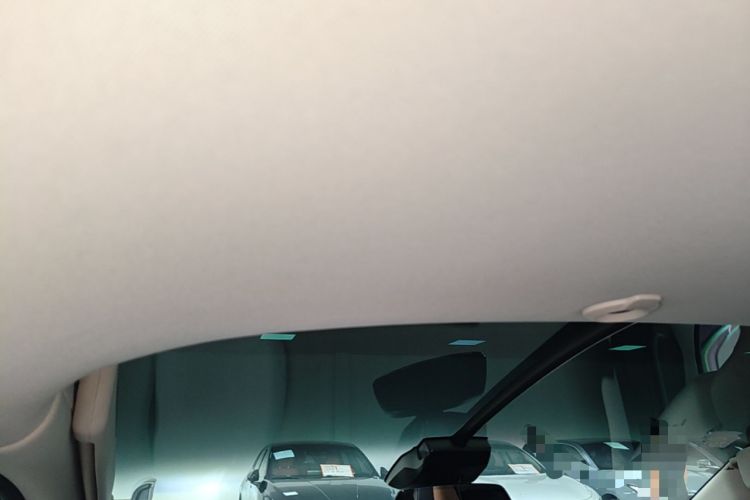 Used XPeng G3 2020 520 Smart Edition Headliner
