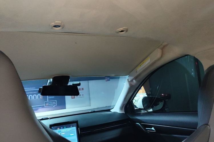 Used XPeng G3 2020 520i Luxury Edition Headliner