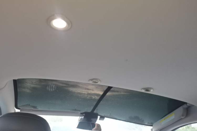 Used XPeng G3 2020 520 Smart Edition Headliner