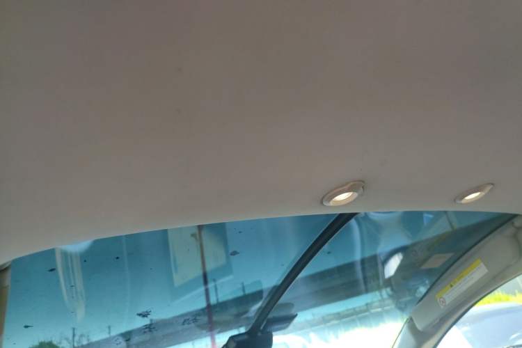 Used XPeng G3 2020 520 Smart Edition Headliner