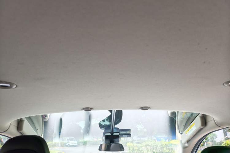 Used XPeng G3 2020 520 Smart Edition Headliner