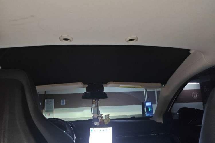 Used XPeng G3 2020 520 Smart Edition Headliner