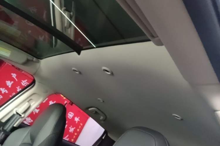 Used XPeng G3 2020 520 Enjoyment Edition Headliner