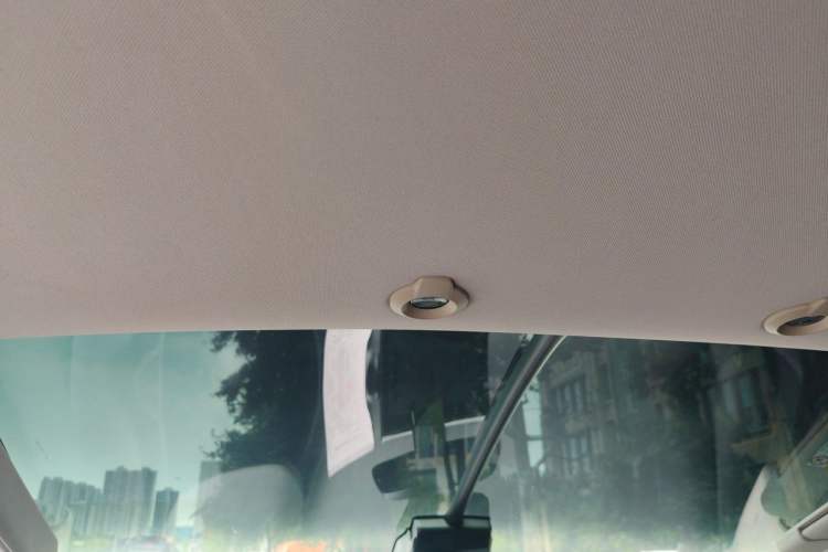 Used XPeng G3 2020 520 Smart Edition Headliner