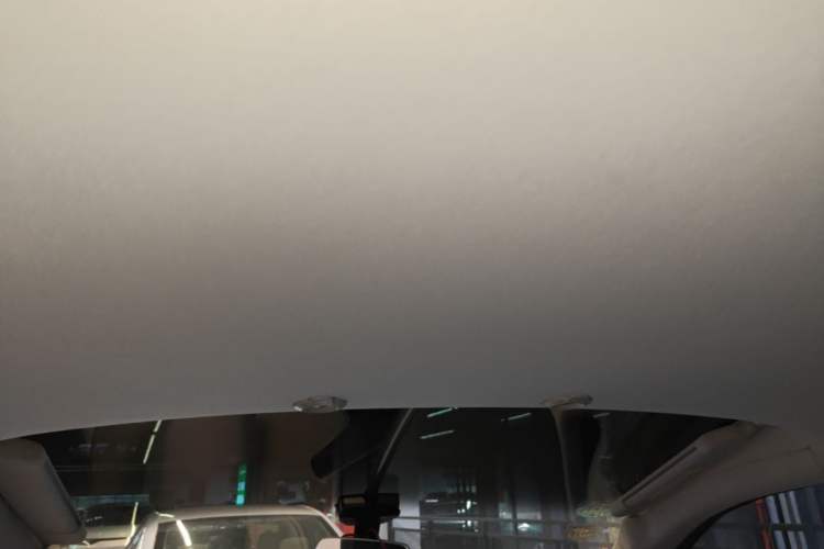 Used XPeng G3 2020 520i Enjoyment Edition Headliner
