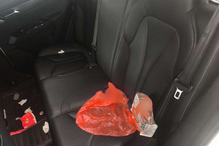 Used XPeng G3 2020 520i Luxury Edition Interior 4