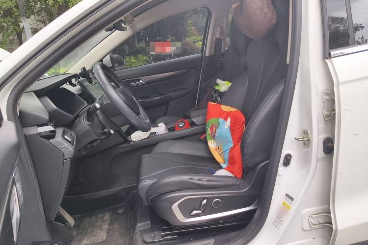 Used XPeng G3 2020 520 Smart Edition Left Front Seat