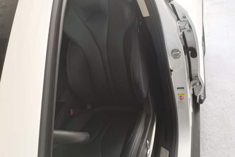 Used XPeng G3 2020 460i Luxury Edition Left Front Seat
