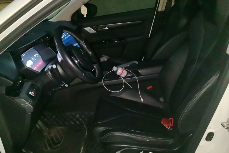 Used XPeng G3 2020 520 Smart Edition Left Front Seat