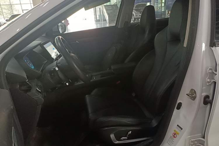 Used XPeng G3 2020 520i Luxury Edition Left Front Seat