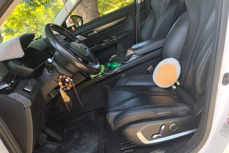 Used XPeng G3 2020 520 Smart Edition Left Front Seat