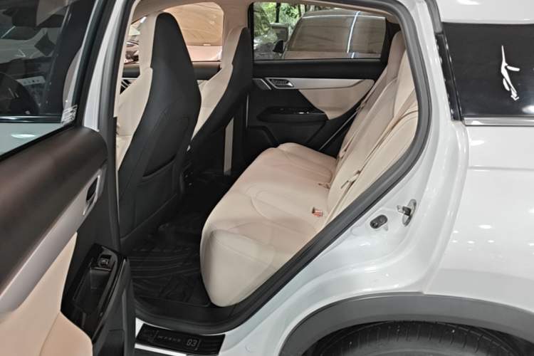 Used XPeng G3 2020 520i Luxury Edition Left Rear Seat