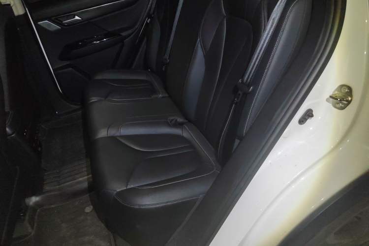 Used XPeng G3 2020 520i Luxury Edition Left Rear Seat