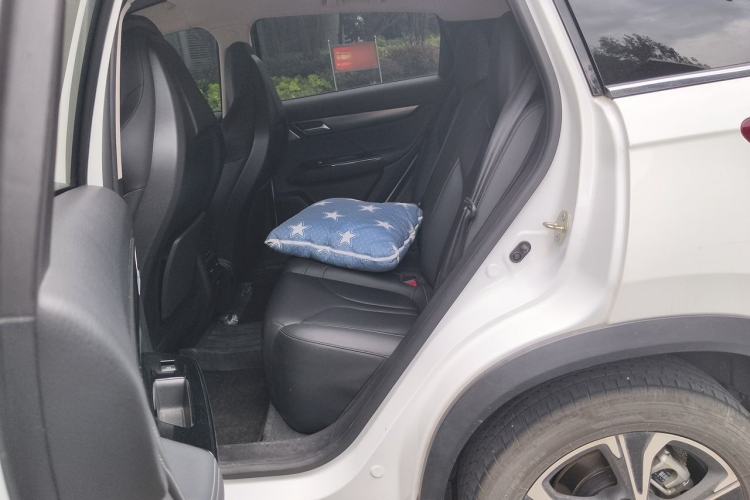 Used XPeng G3 2020 520 Smart Edition Left Rear Seat