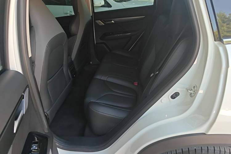 Used XPeng G3 2020 520 Enjoyment Edition Left Rear Seat
