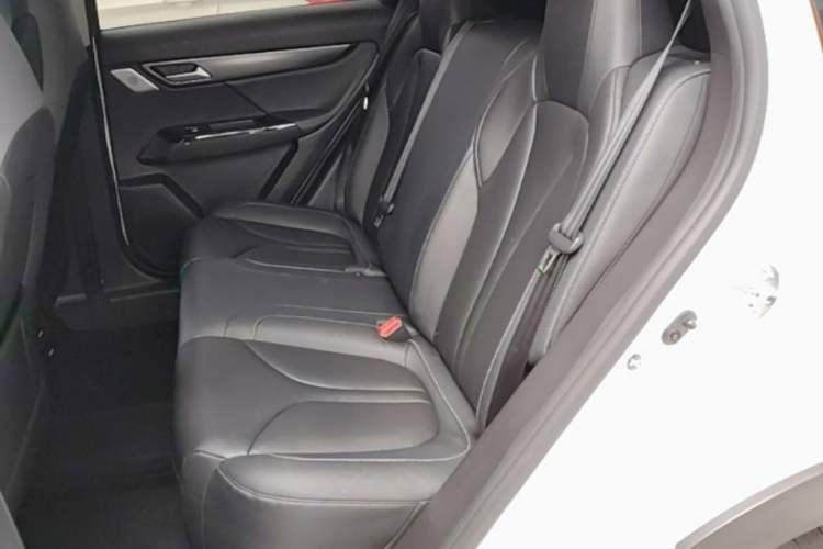 Used XPeng G3 2020 520i Luxury Edition Left Rear Seat