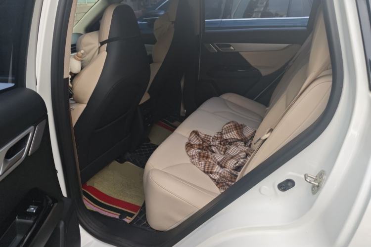 Used XPeng G3 2020 520i Luxury Edition Left Rear Seat