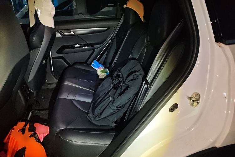 Used XPeng G3 2020 520 Enjoyment Edition Left Rear Seat