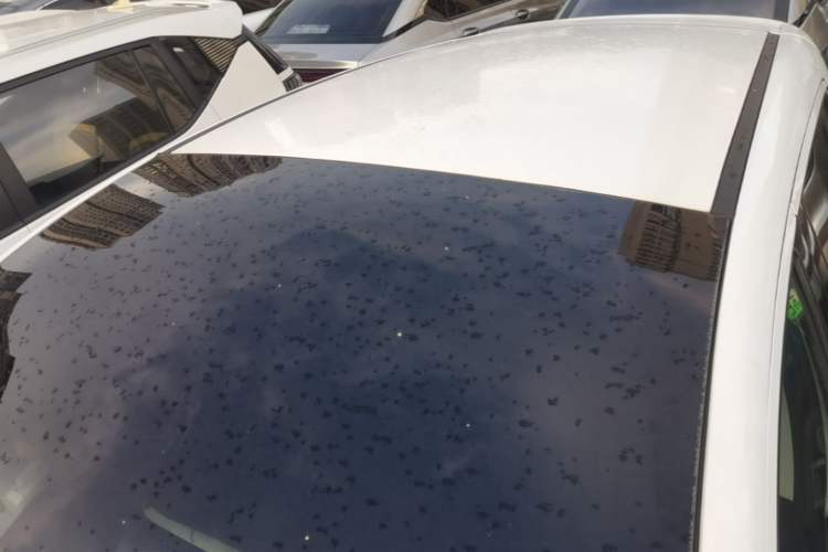 Used XPeng G3 2020 520 Smart Edition Roof