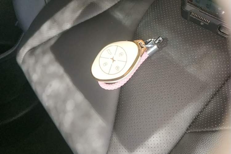 Used XPeng G3 2020 520 Smart Edition Vehicle Key