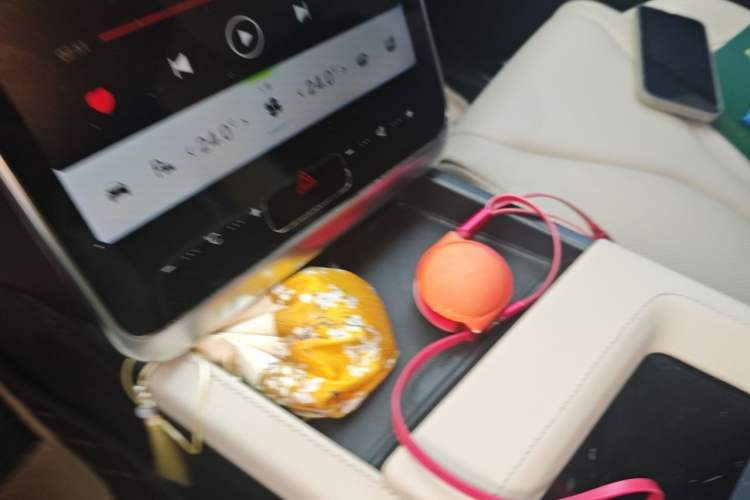 Used XPeng G3 2020 520i Luxury Edition Vehicle Key