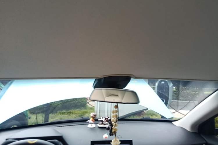 Used XPeng G3 2021 G3i 520G Headliner