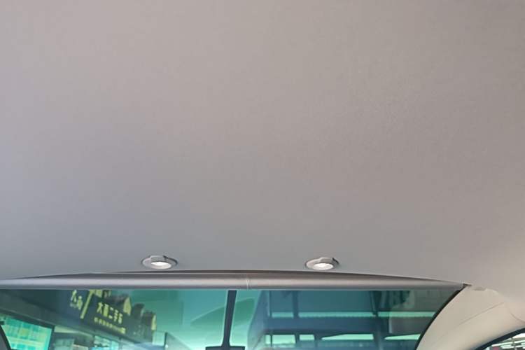 Used XPeng G3 2021 G3i 460G Headliner