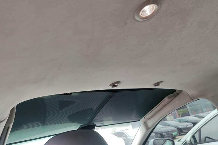 Used XPeng G3 2021 G3i 520N Headliner