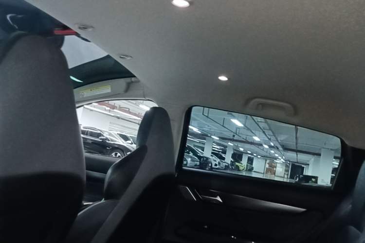 Used XPeng G3 2021 G3i 520N Headliner