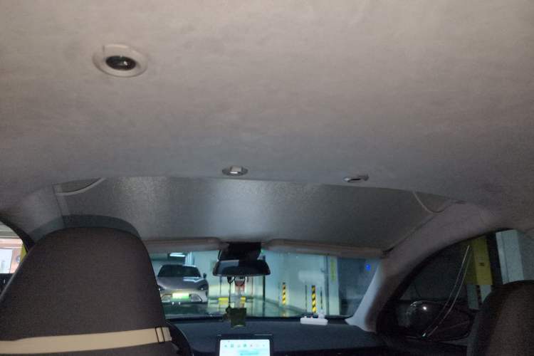 Used XPeng G3 2021 G3i 520N Headliner