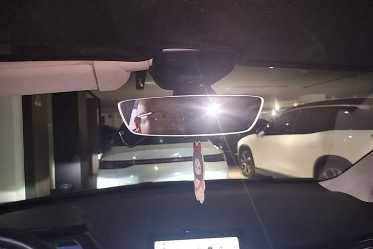 Used XPeng G3 2021 460c Enjoy Edition Headliner