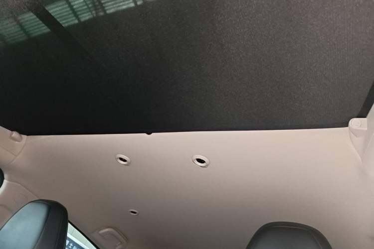 Used XPeng G3 2021 G3i 520N Headliner