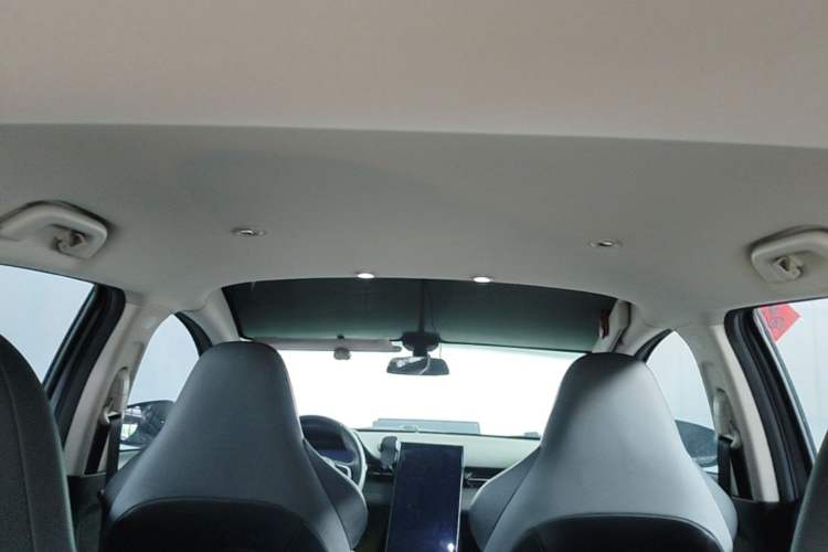 Used XPeng G3 2021 G3i 520G Headliner