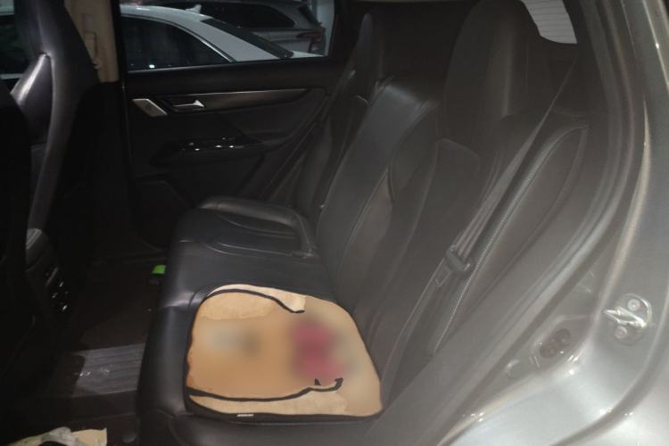 Used XPeng G3 2021 G3i 460N Left Rear Seat
