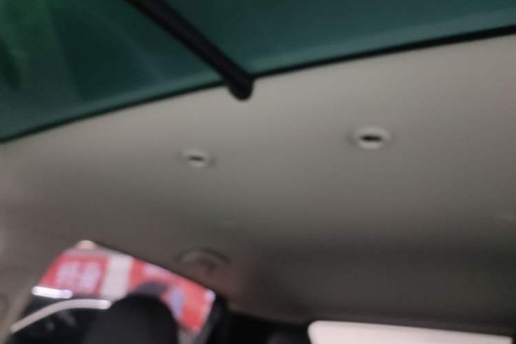 Used XPeng G3 2021 G3i 520N+ Headliner