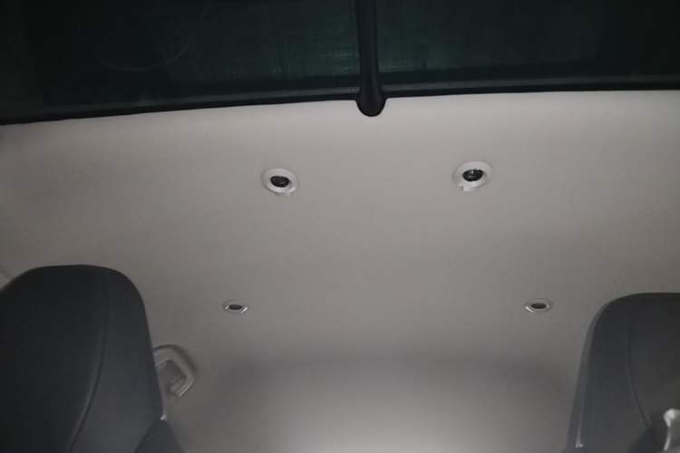 Used XPeng G3 2021 G3i 520N Headliner