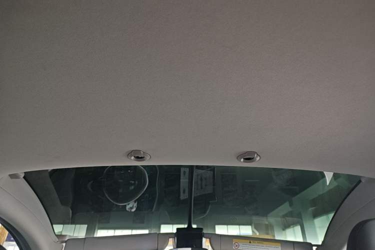 Used XPeng G3 2021 G3i 460N Headliner