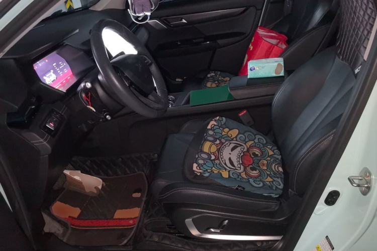 Used XPeng G3 2021 G3i 460G Left Front Seat